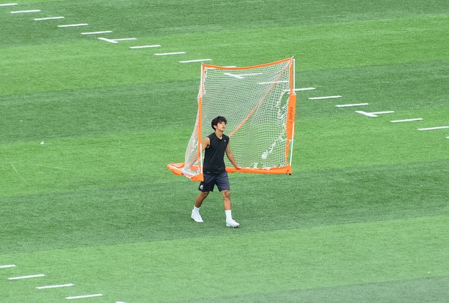 何致力于确