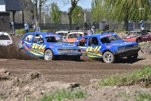 乒乓球等运 乒乓球等运