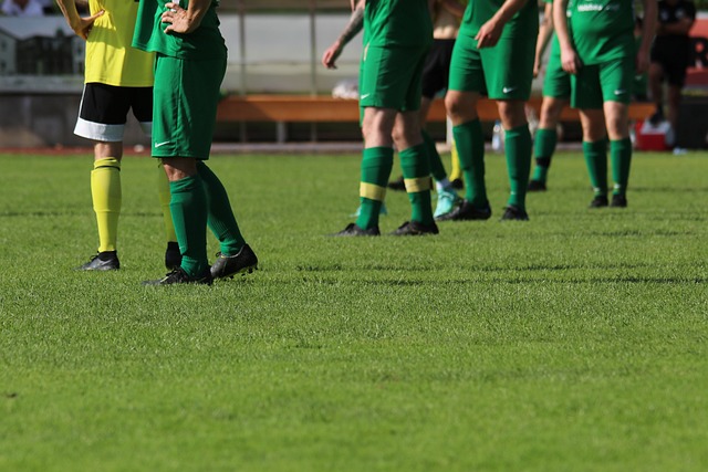 起伏的比赛 起伏的比赛