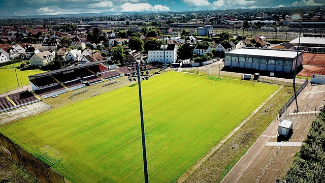 才俊而著称 才俊而著称