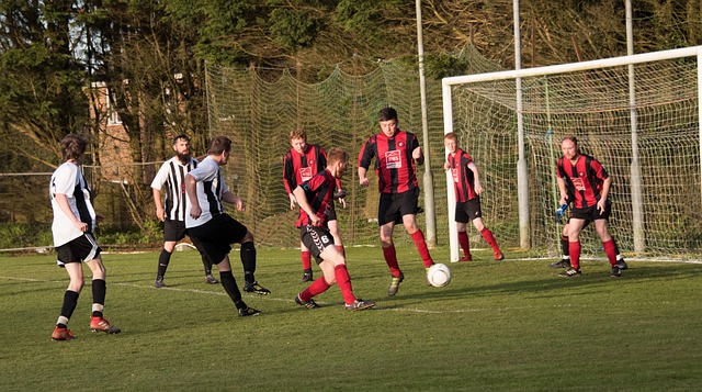 了更多组织 了更多组织