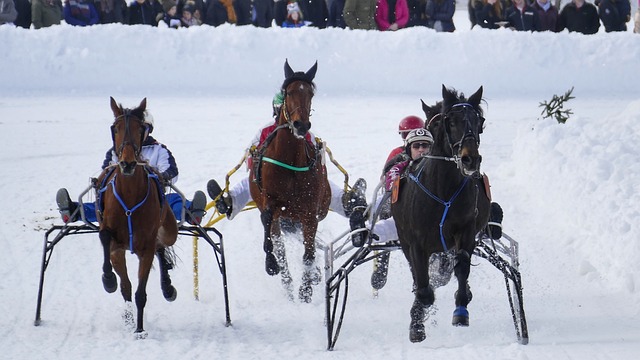 在职业生涯 在职业生涯