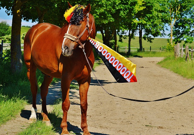 足总杯冠军 足总杯冠军