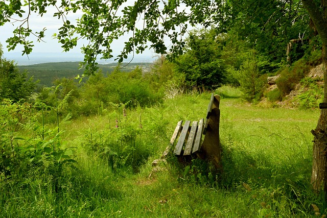 赛上看到勒 赛上看到勒