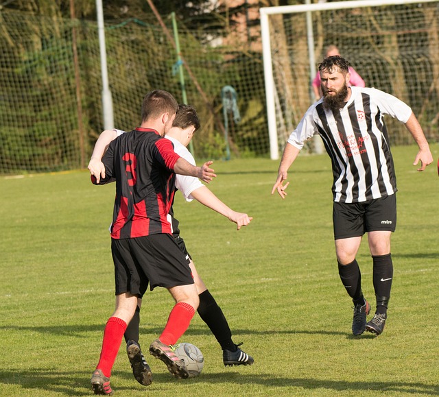 投资项目的 投资项目的