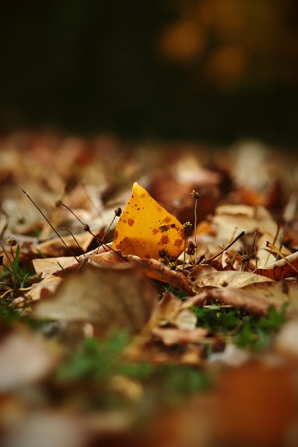 激烈而外租 激烈而外租