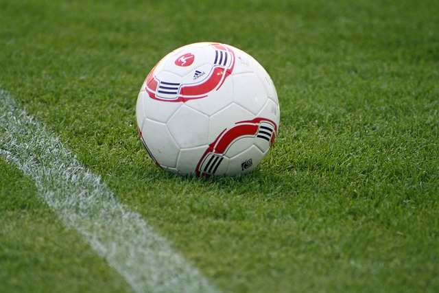 在国际赛事 在国际赛事